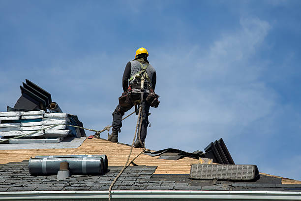 Professional Roofing technician working in Nobleton, FL